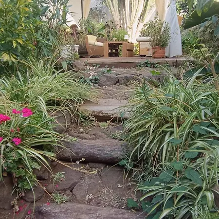 Casa Jardin Del Sol Planta Baja Semesterbostad *