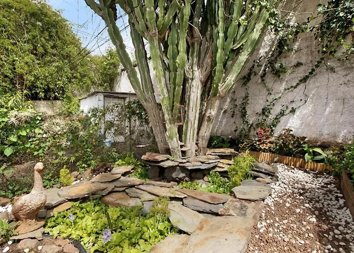 Casa Con Jardin * 타코론테