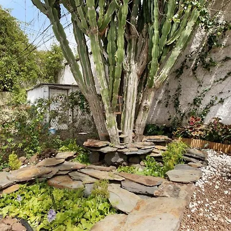 Casa Con Jardin * Tacoronte